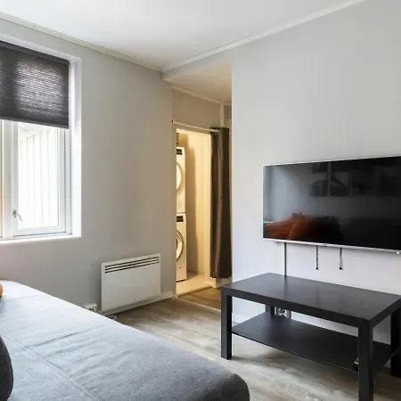 And Spacious For 6 Apartman Trondheim